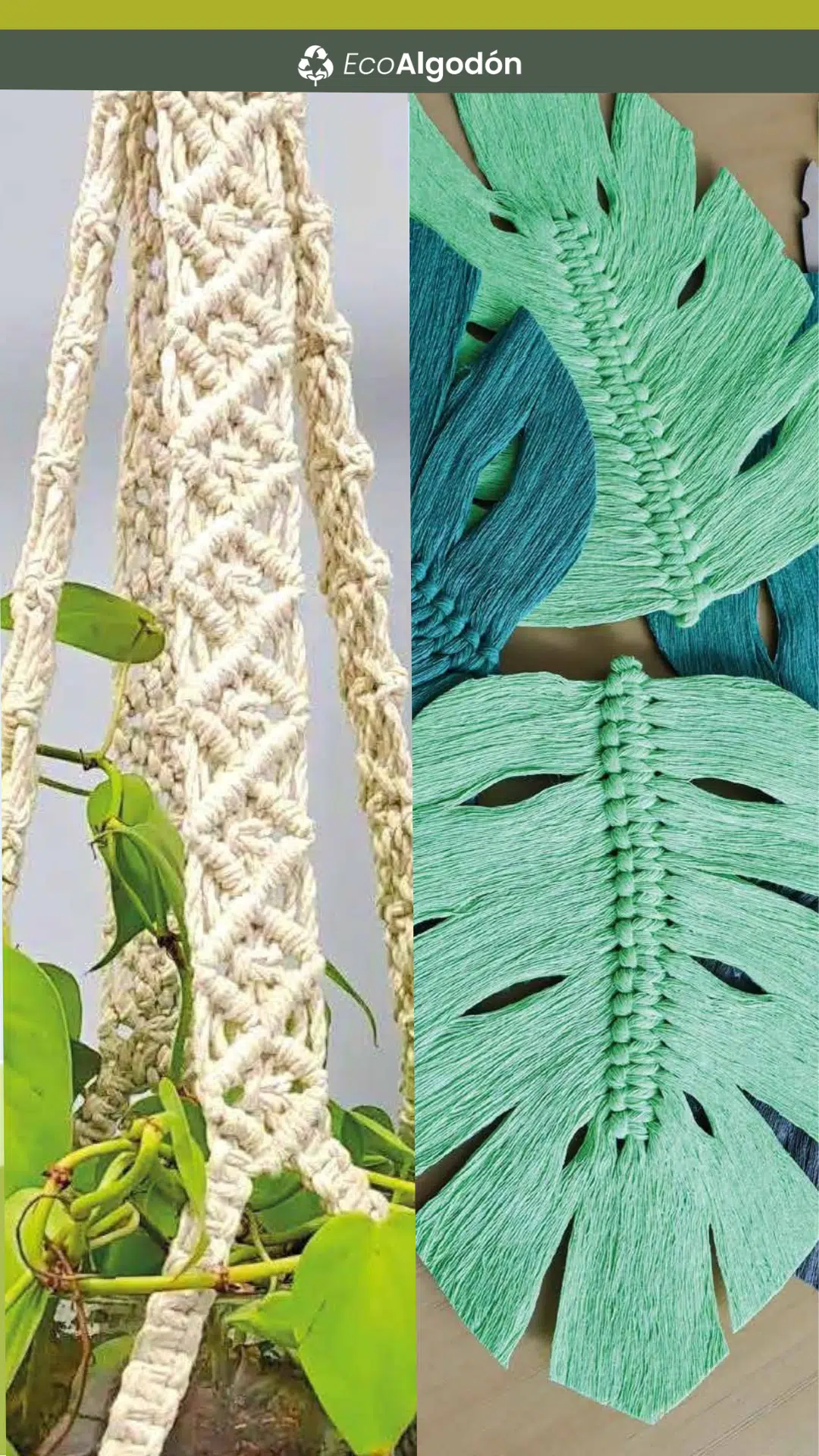 Hilaza Eco-Algodón 4mm x500g - Imagen 5